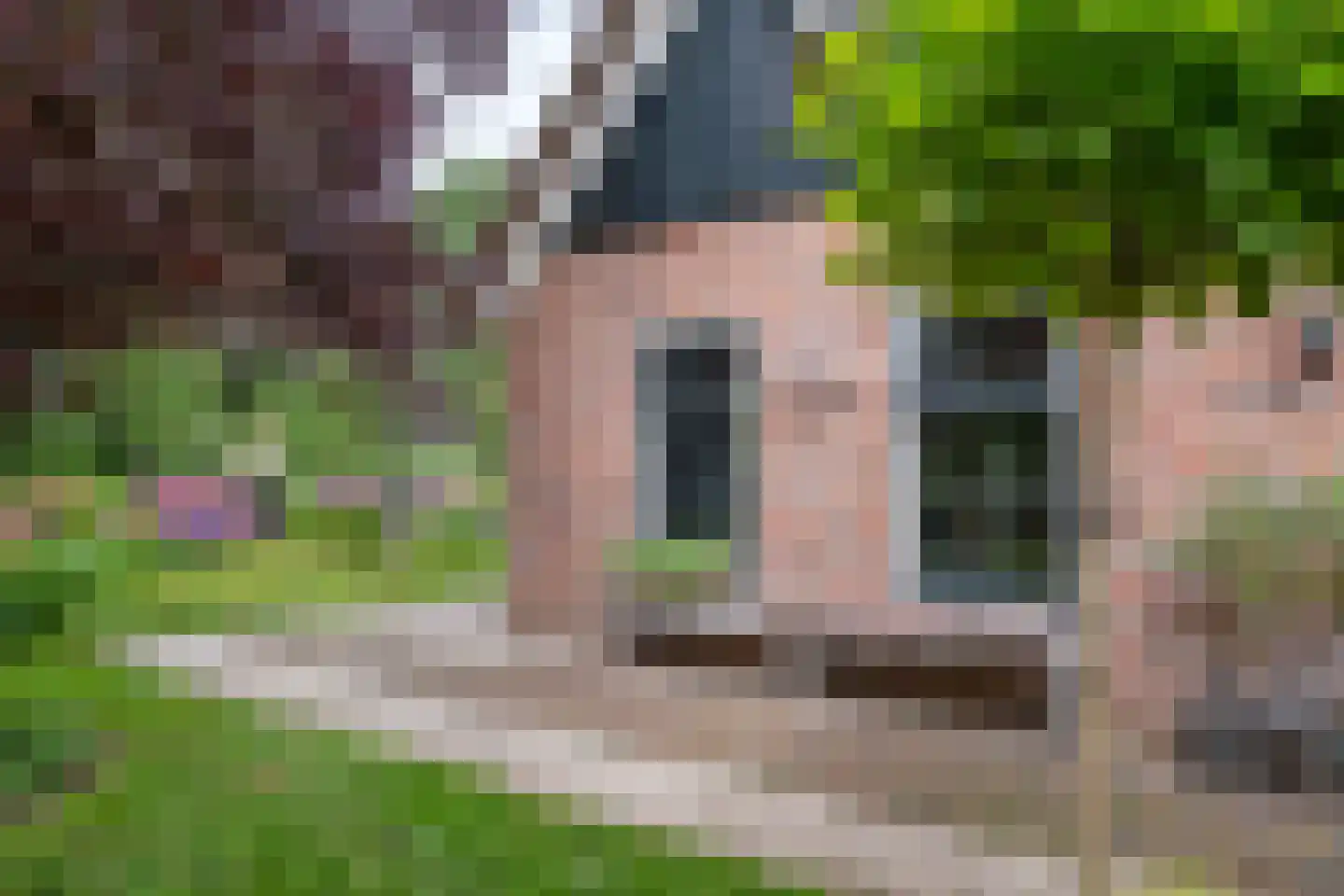 Kampweg 3 Valthe thumbnail 79