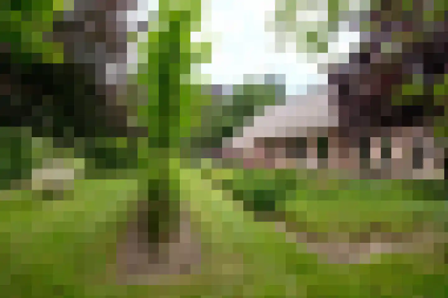 Kampweg 3 Valthe thumbnail 84