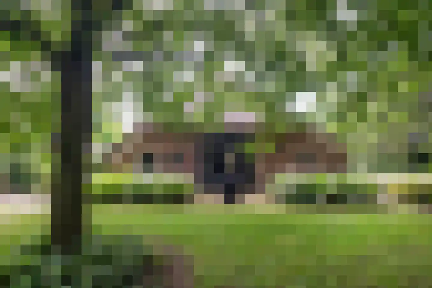 Kampweg 3 Valthe thumbnail 89
