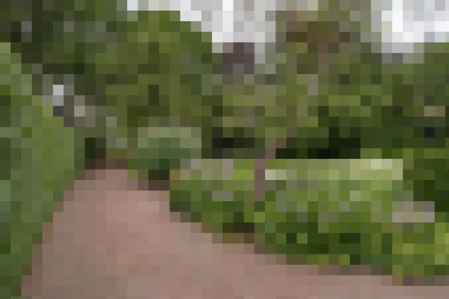 Kampweg 3 Valthe thumbnail 9