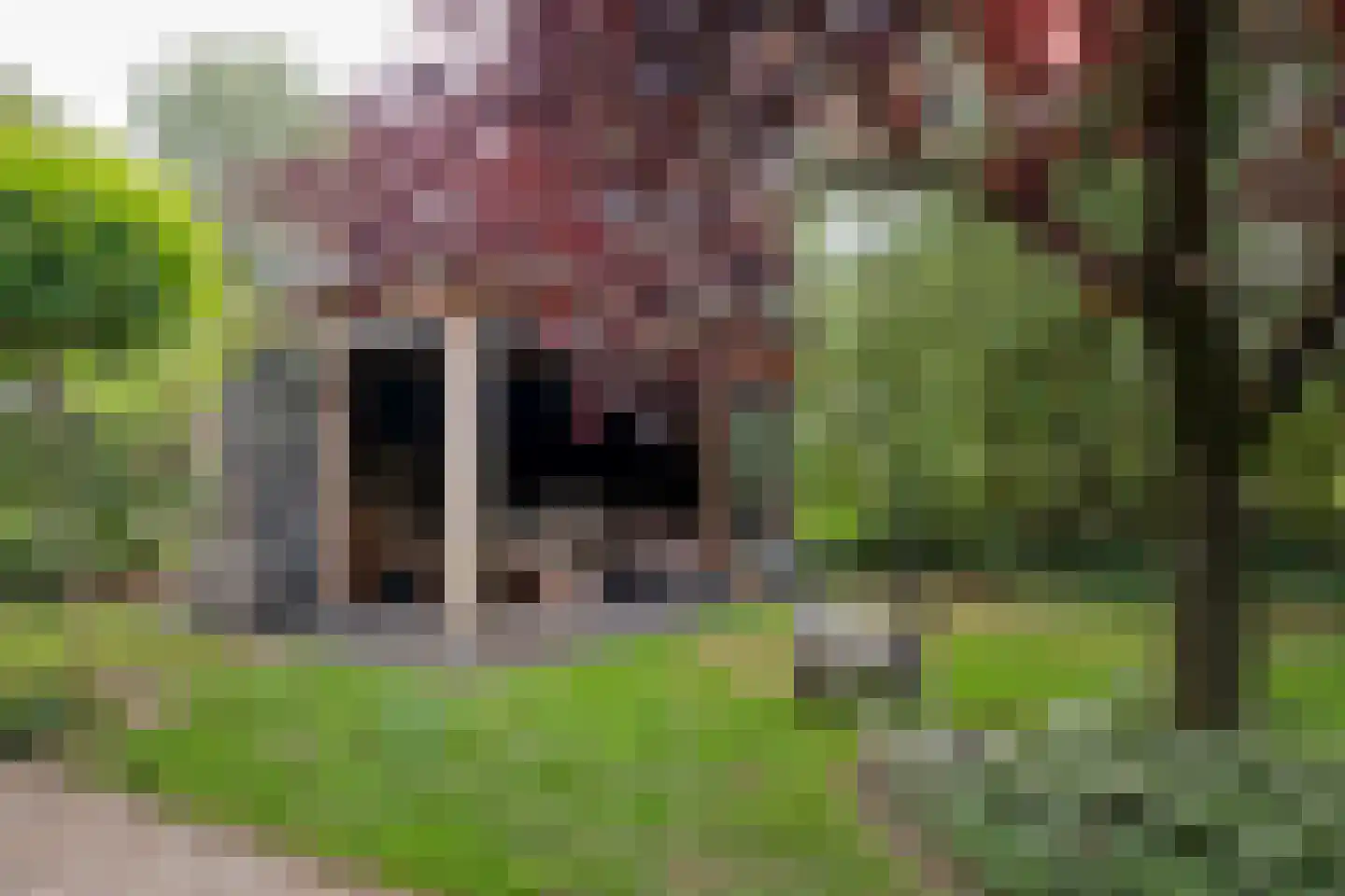 Kampweg 3 Valthe thumbnail 90