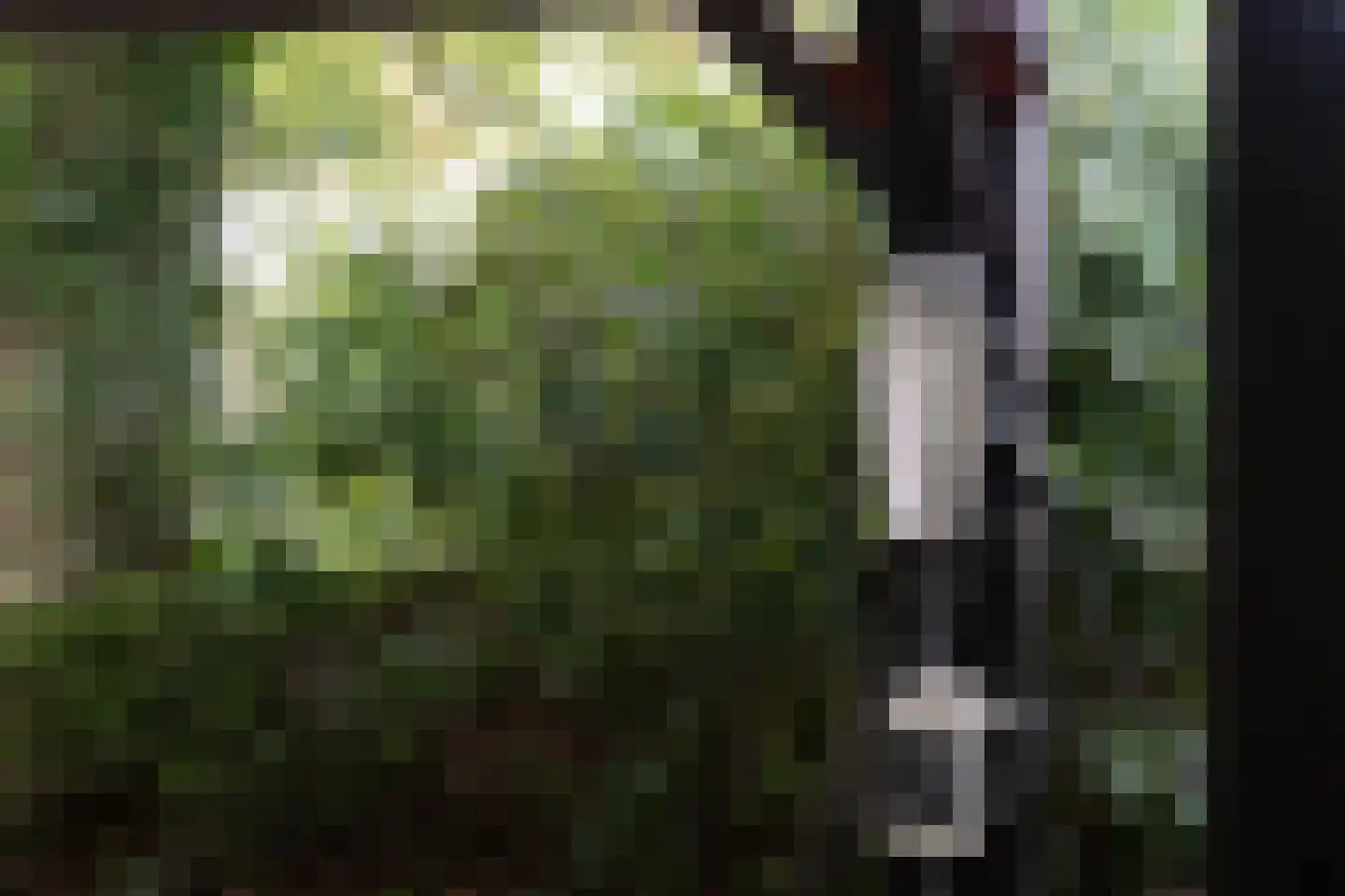 Kampweg 3 Valthe thumbnail 92