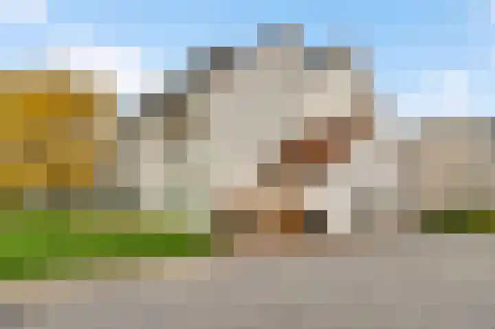 Kampweg 39 B Gronsveld thumbnail 18