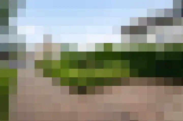 Kampweg 39 Gronsveld thumbnail 19