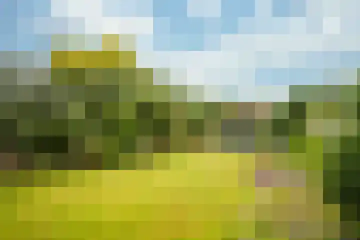 Kampweg 5 Montfort thumbnail 31
