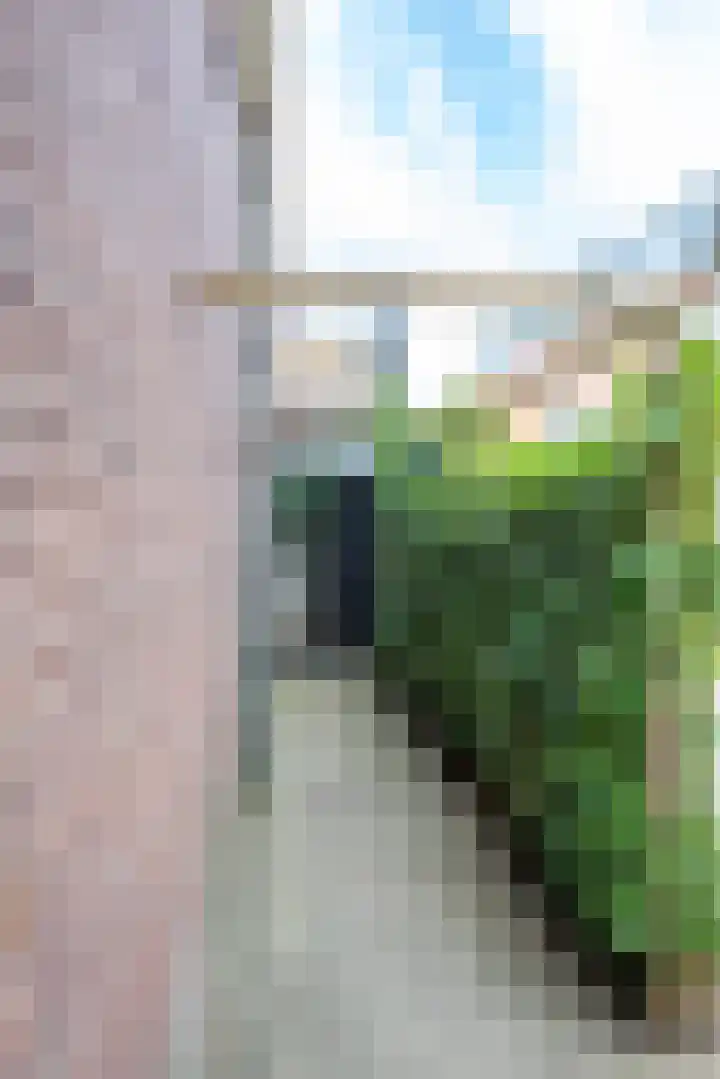 Kampweg 51 Doorn thumbnail 34