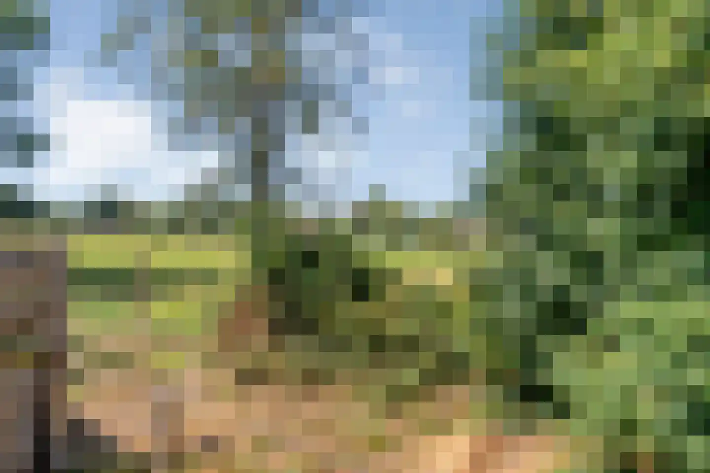 Kampweg 6 Ruinen thumbnail 46