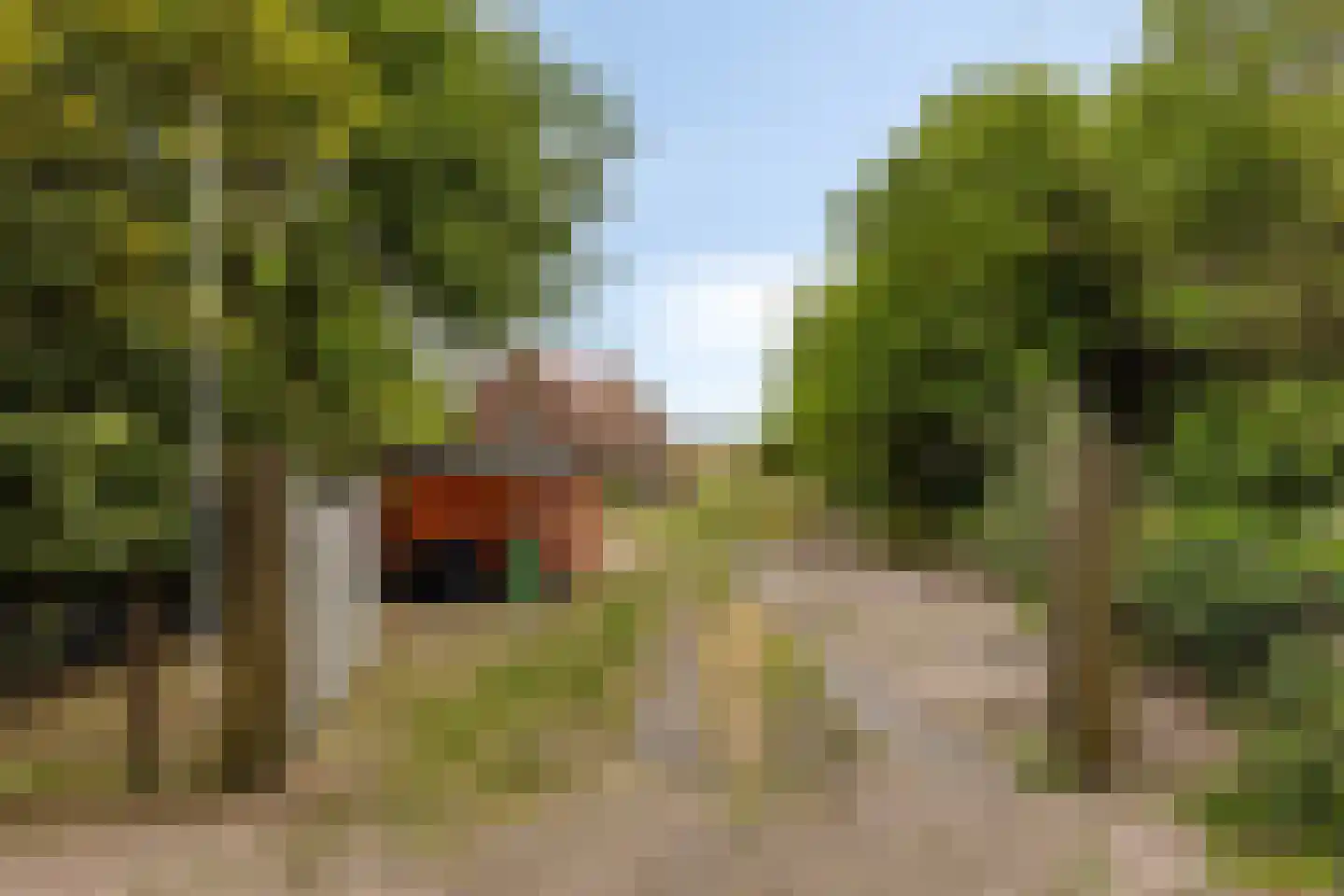 Kampweg 7 Burgh-Haamstede thumbnail 4