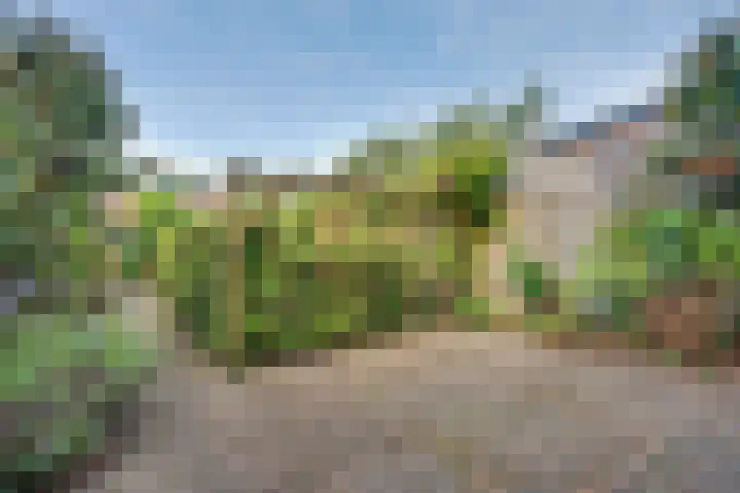 Kampweg 75 Brummen thumbnail 25