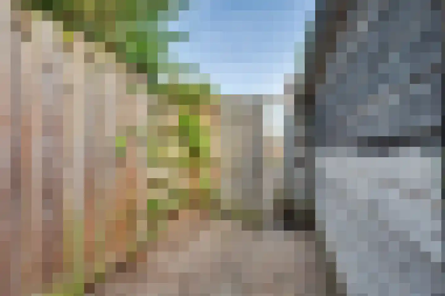 Kampweg 75 Brummen thumbnail 32