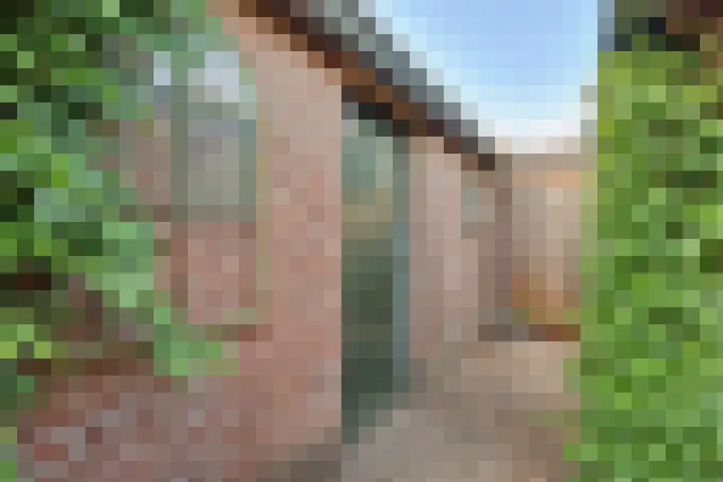Kampweg 75 Brummen thumbnail 33