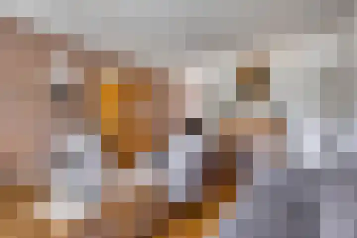 Kamrad 7 Oploo thumbnail 11