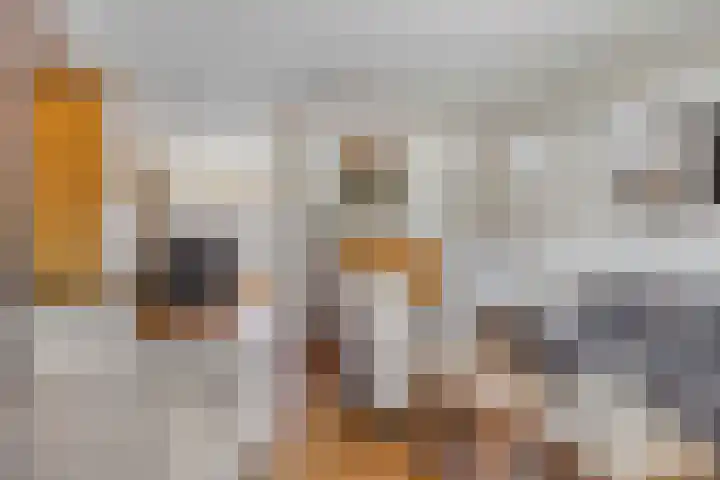 Kamrad 7 Oploo thumbnail 12
