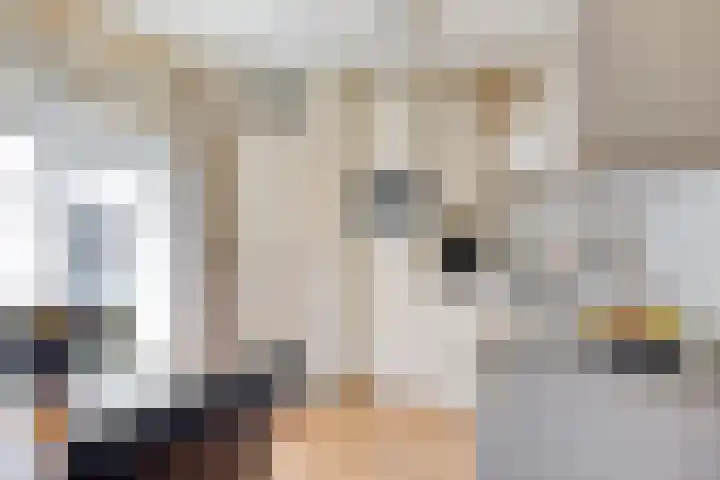 Kamrad 7 Oploo thumbnail 15