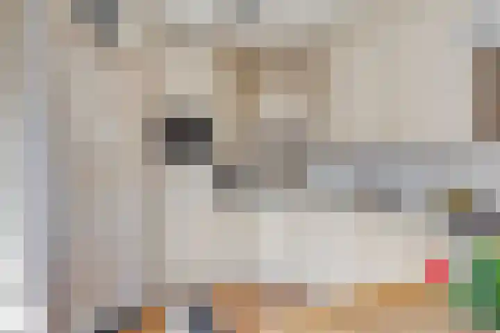Kamrad 7 Oploo foto 3
