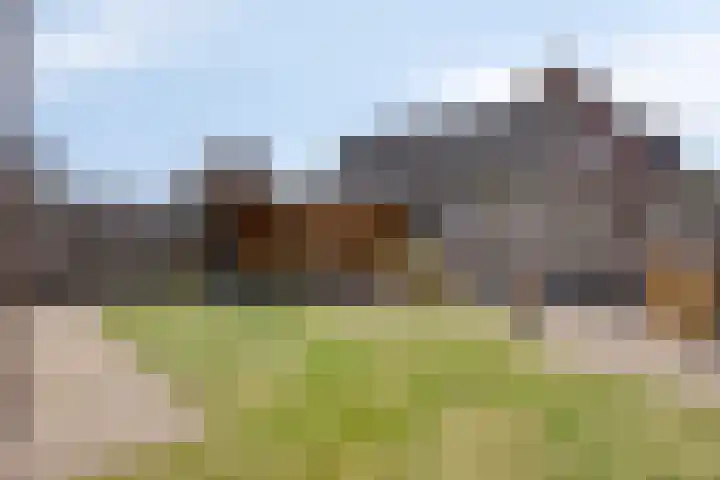 Kamrad 7 Oploo thumbnail 32