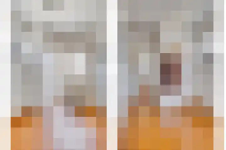 Kamrad 7 Oploo thumbnail 9