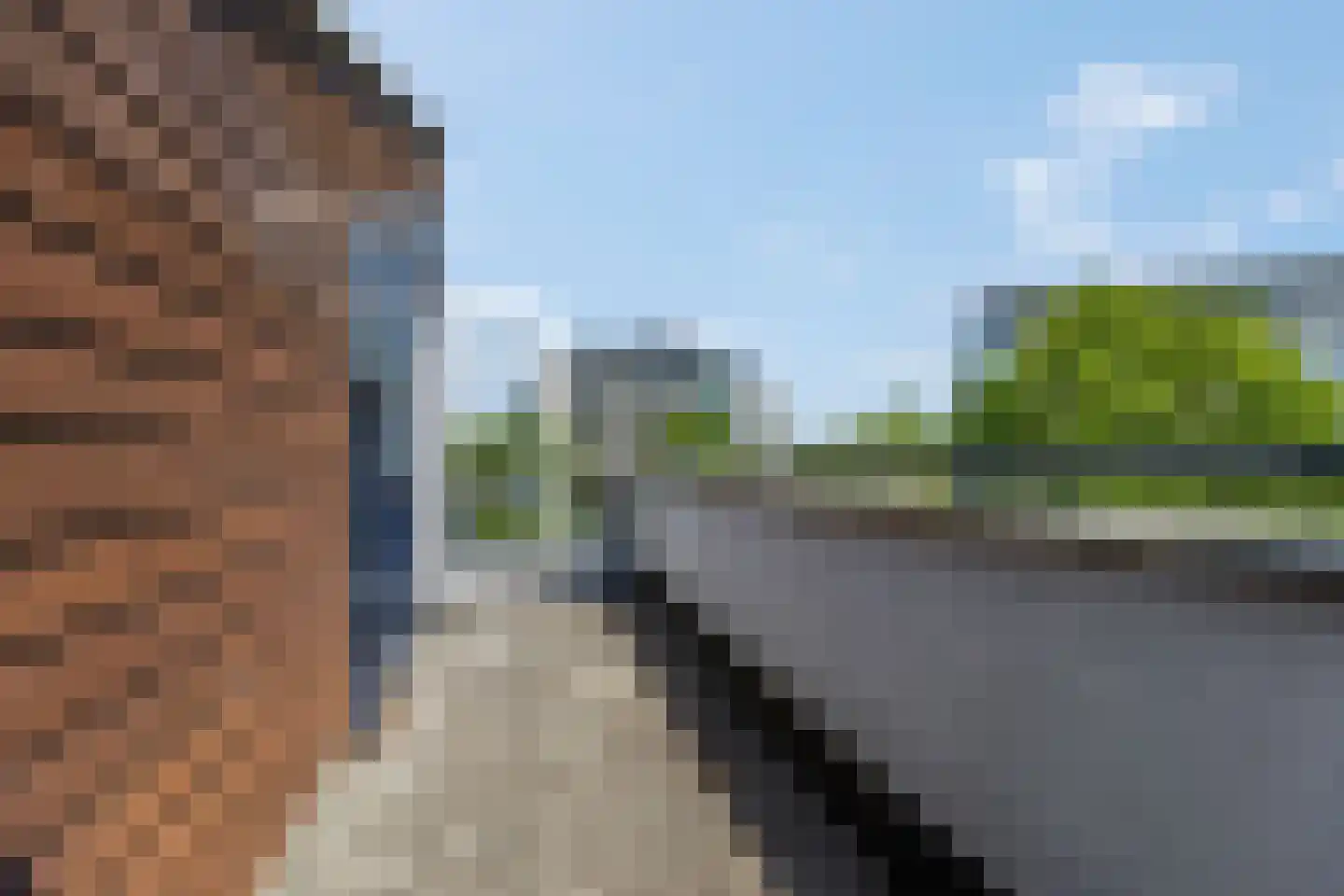 Kamsalamander 1 Amersfoort thumbnail 29