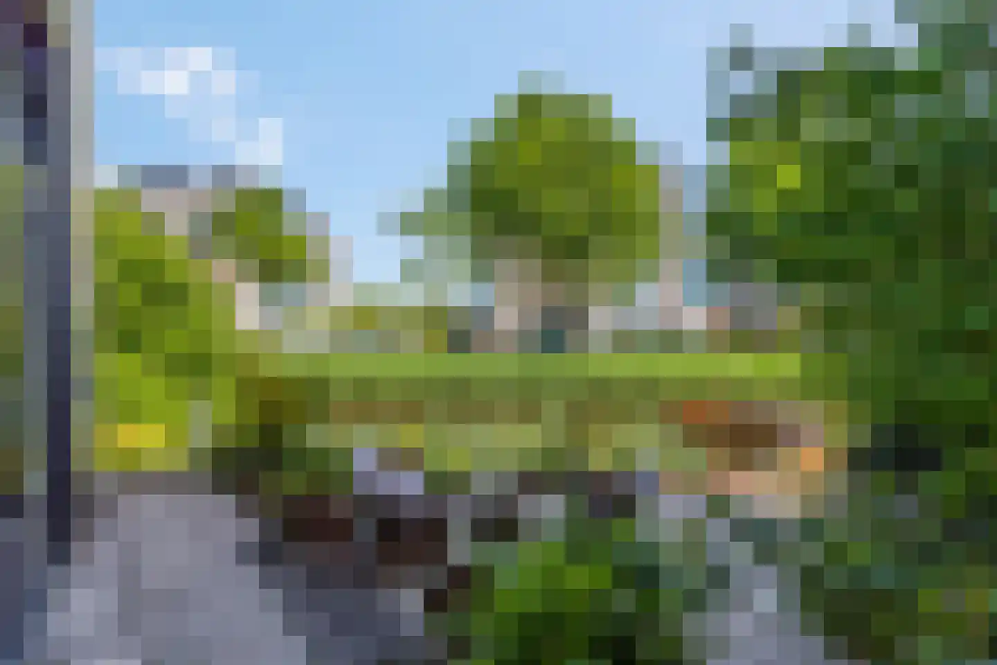 Kamsalamander 1 Amersfoort thumbnail 31