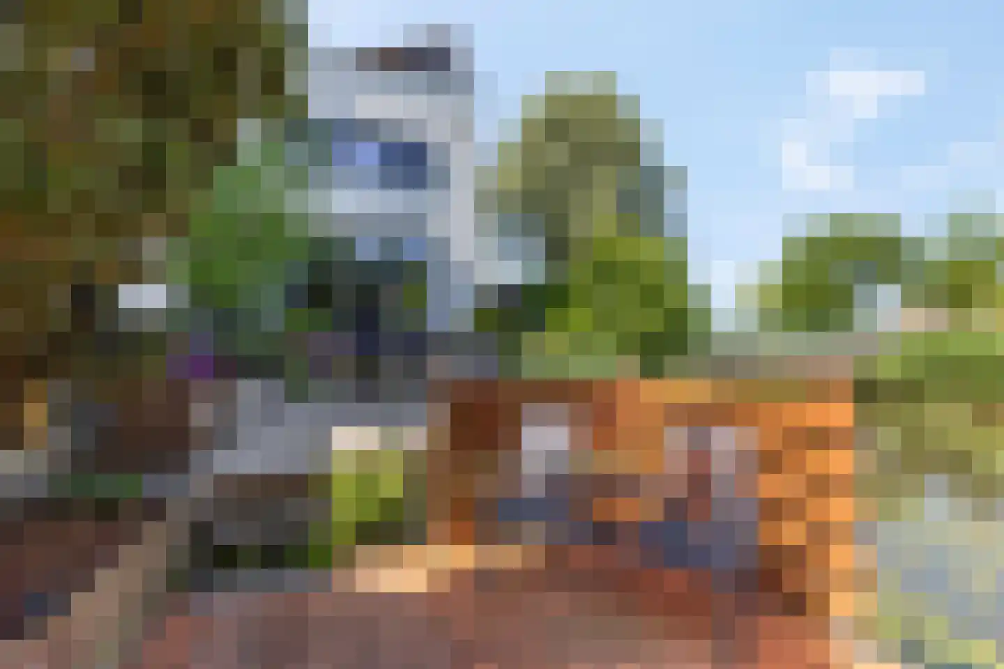 Kamsalamander 1 Amersfoort thumbnail 33