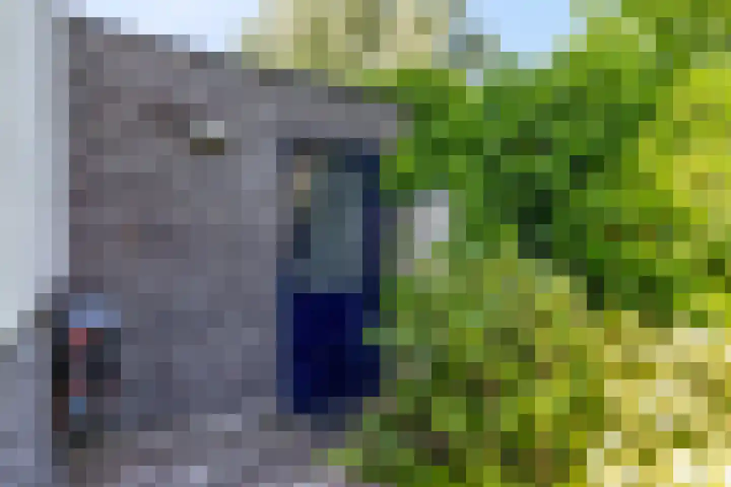 Kamsalamander 1 Amersfoort thumbnail 34