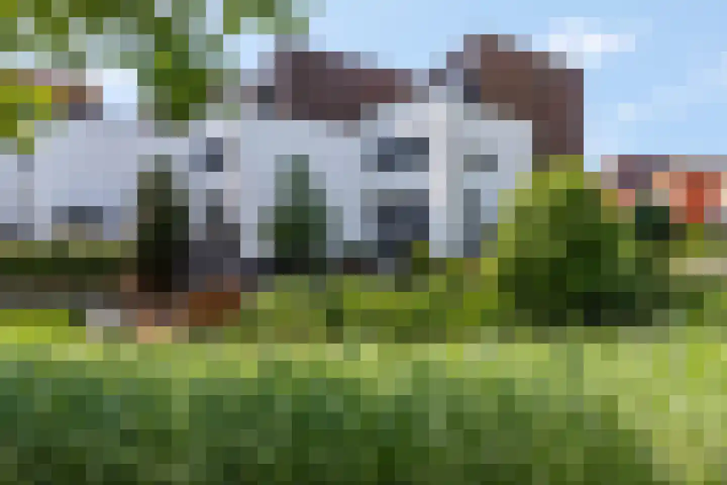Kamsalamander 1 Amersfoort thumbnail 35