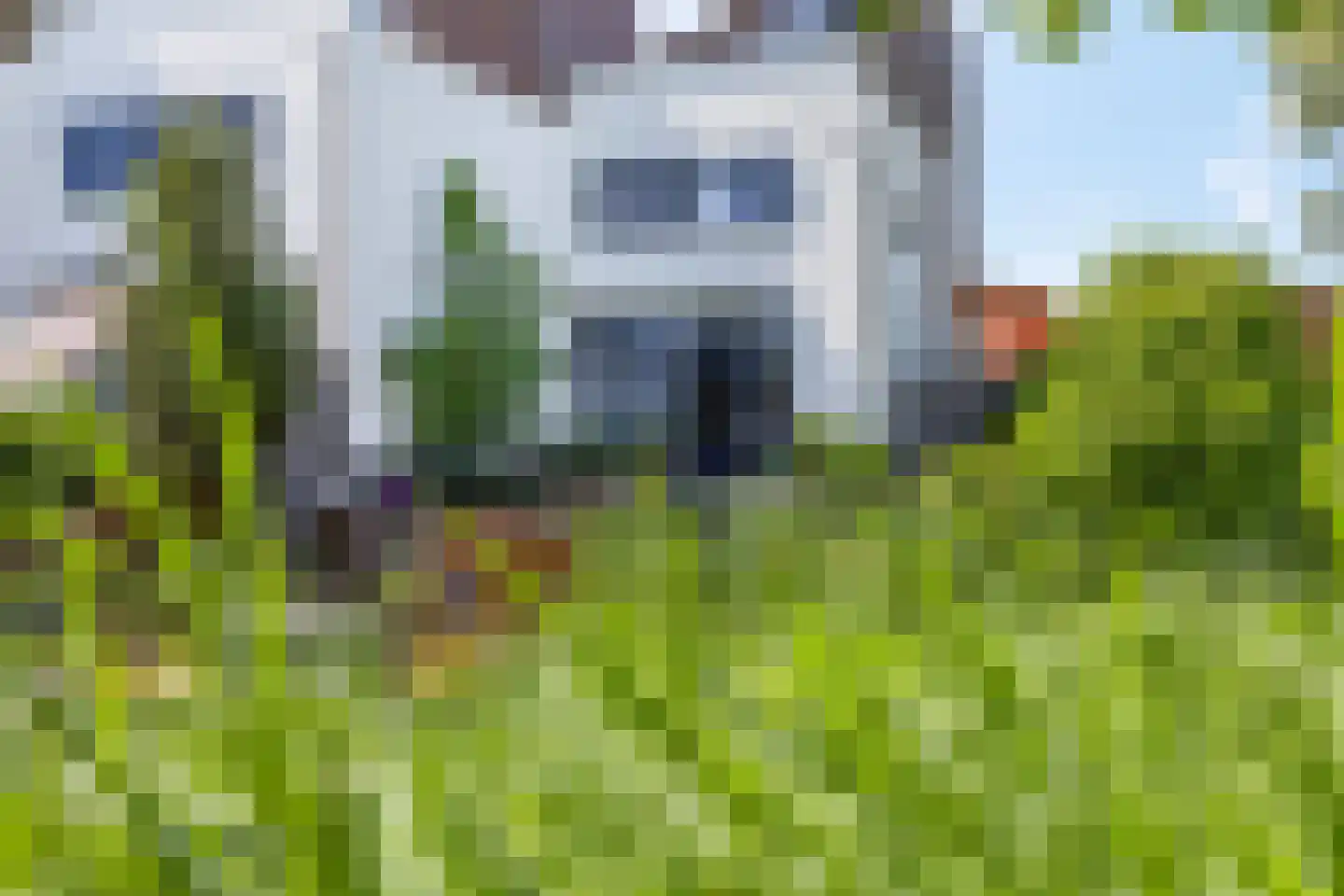 Kamsalamander 1 Amersfoort thumbnail 36