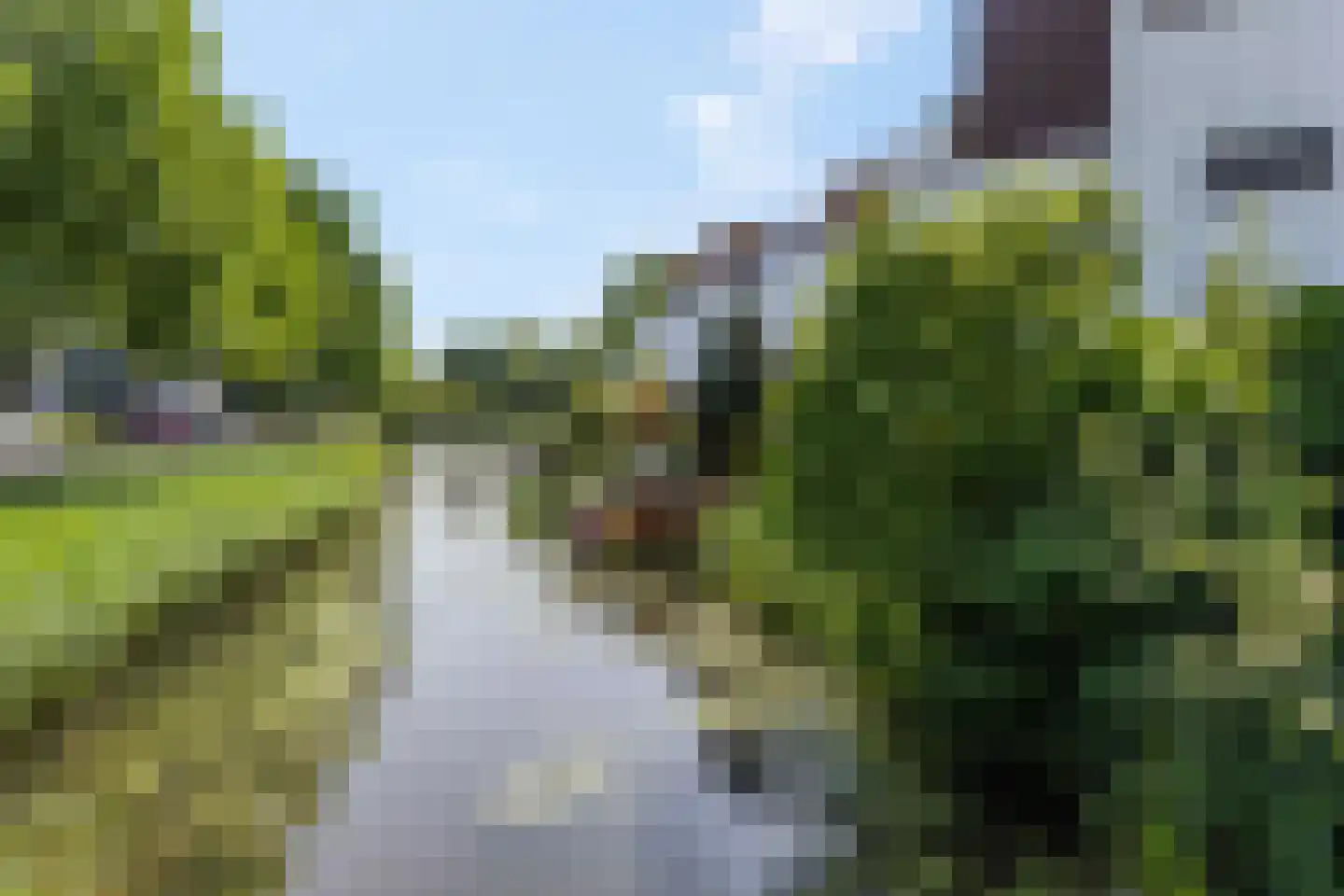 Kamsalamander 1 Amersfoort thumbnail 37