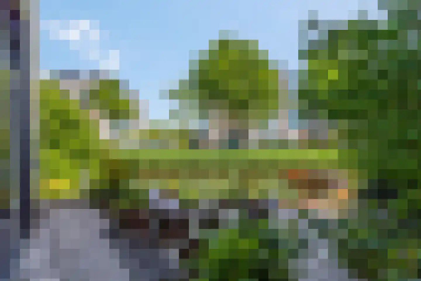 Kamsalamander 1 Amersfoort thumbnail 4