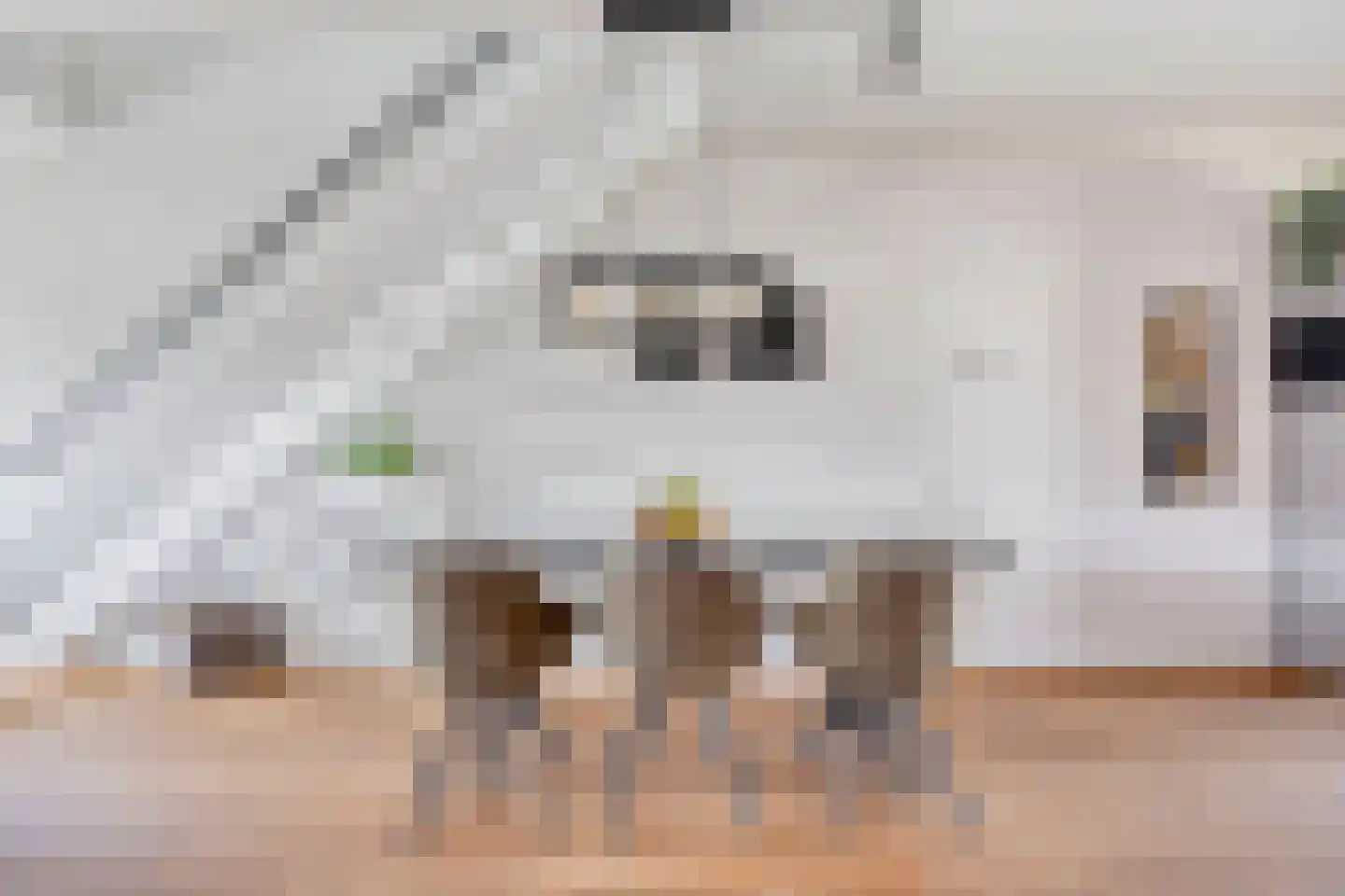 Kamsalamander 17 Goirle thumbnail 18