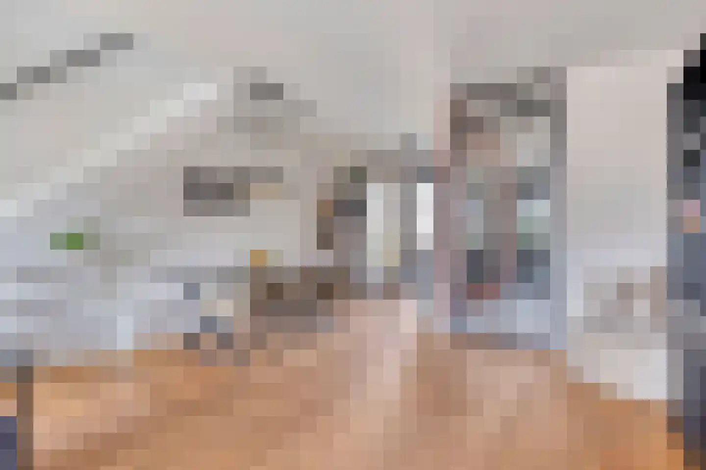 Kamsalamander 17 Goirle foto 3