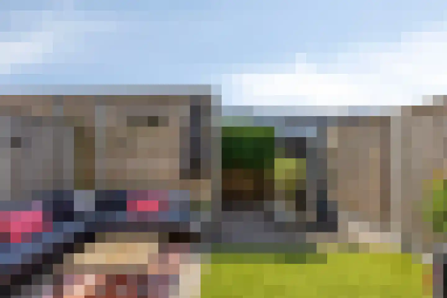 Kamsalamander 17 Goirle thumbnail 37