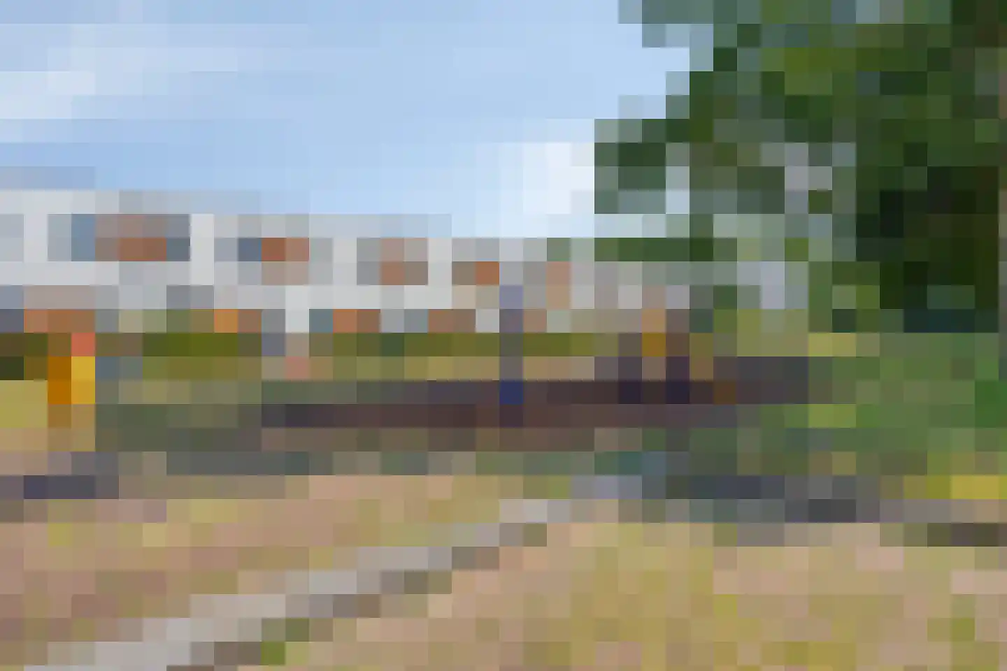 Kamsalamander 17 Goirle thumbnail 42