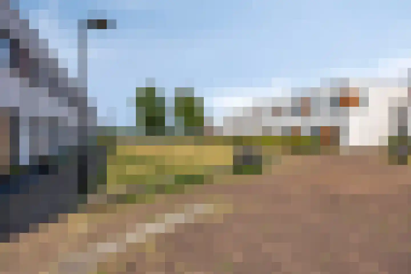 Kamsalamander 17 Goirle thumbnail 43