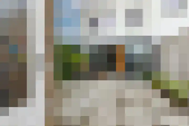 Kamsalamander 19 Goirle thumbnail 33