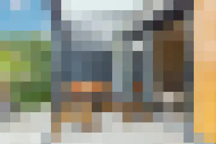 Kamsalamander 19 Goirle thumbnail 35