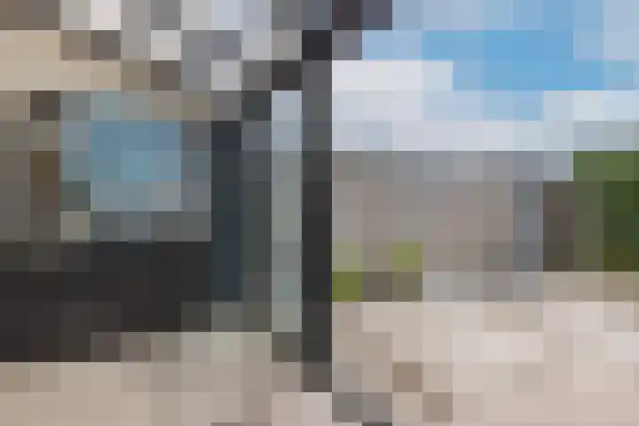 Kamsalamander 19 Goirle thumbnail 37