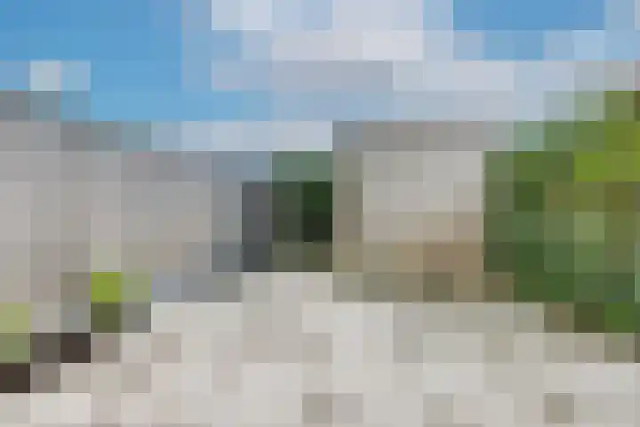 Kamsalamander 19 Goirle thumbnail 38