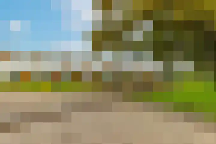 Kamsalamander 19 Goirle thumbnail 39