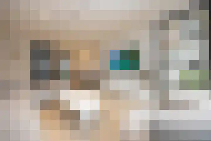 Kamsalamander 19 Goirle thumbnail 4