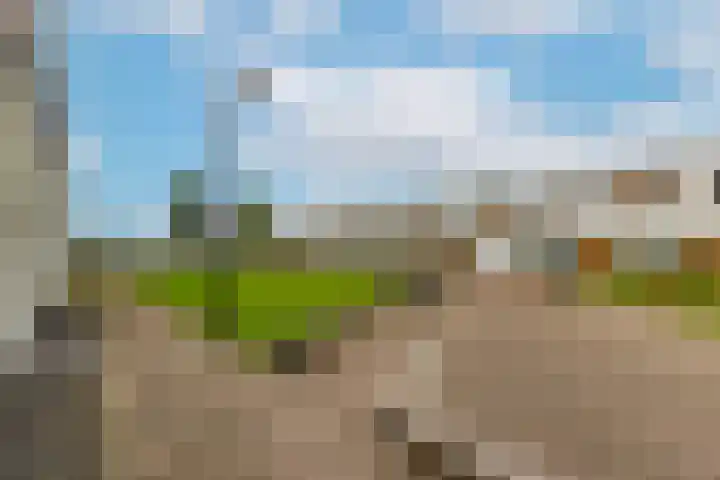 Kamsalamander 19 Goirle thumbnail 40