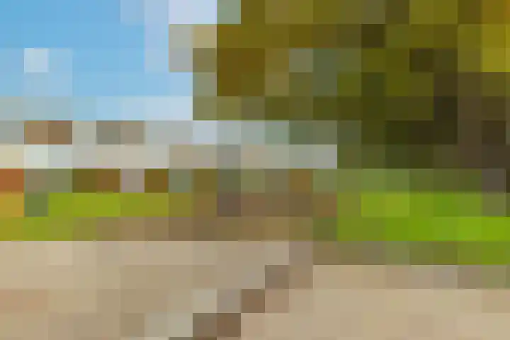 Kamsalamander 19 Goirle thumbnail 41