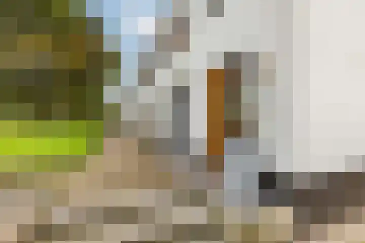 Kamsalamander 19 Goirle thumbnail 43