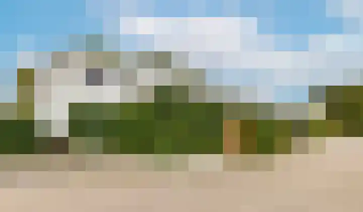 Kamsalamander 19 Goirle thumbnail 44