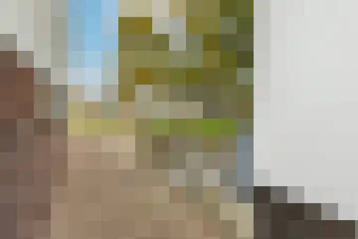 Kamsalamander 19 Goirle thumbnail 46