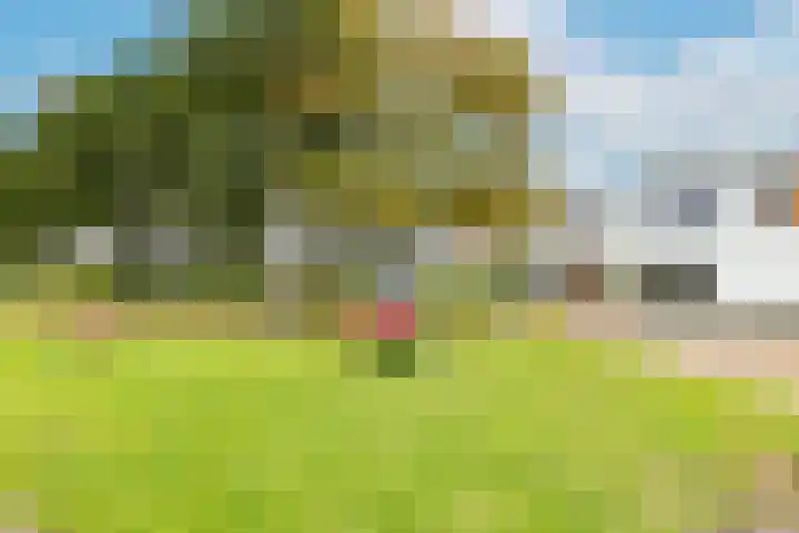 Kamsalamander 19 Goirle thumbnail 47