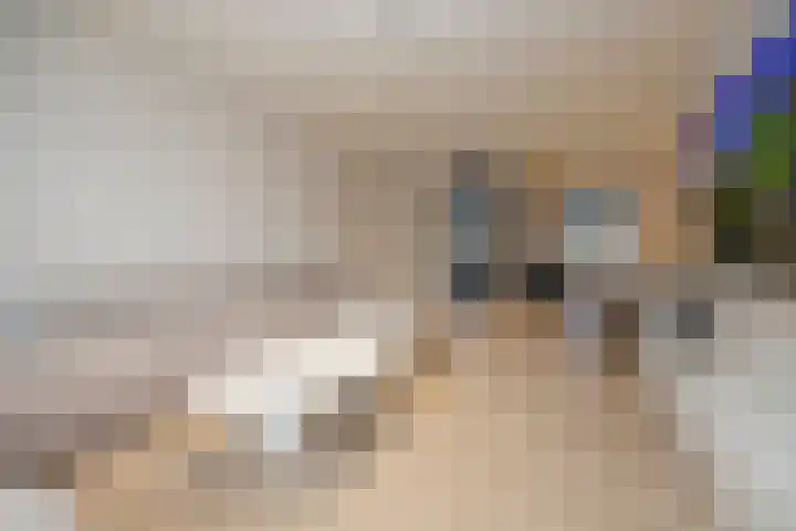 Kamsalamander 19 Goirle thumbnail 8
