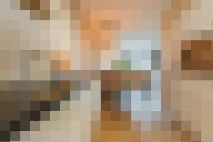 Kamsalamander 7 Goirle thumbnail 10