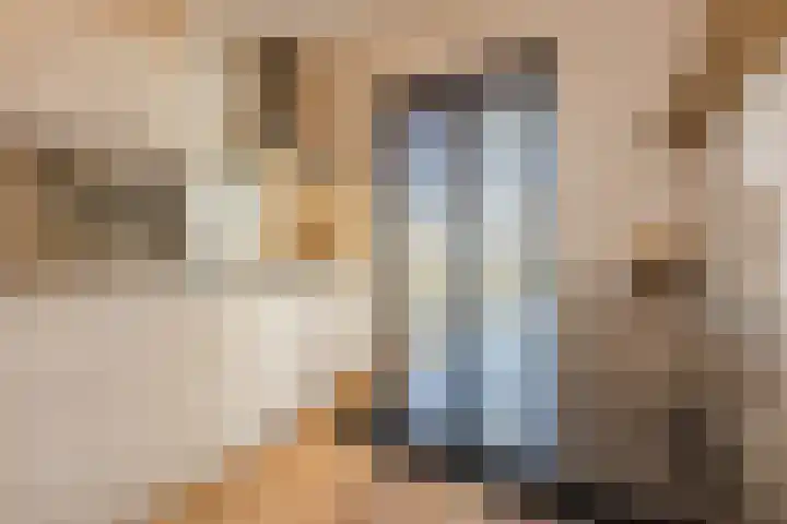Kamsalamander 7 Goirle thumbnail 12