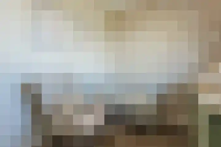 Kamsalamander 7 Goirle thumbnail 15